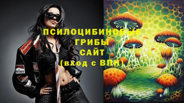 эйфоретик Бердск