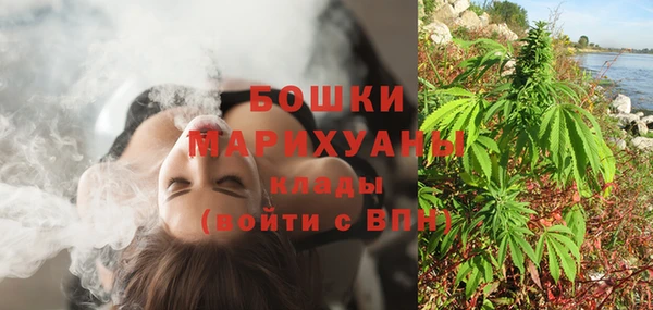 шишки Медногорск