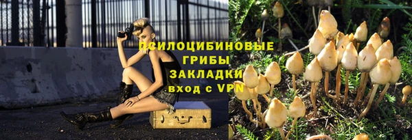 гашик Волоколамск
