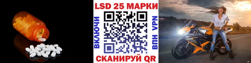 продажа наркотиков  Гвардейск  ЛСД экстази ecstasy 
