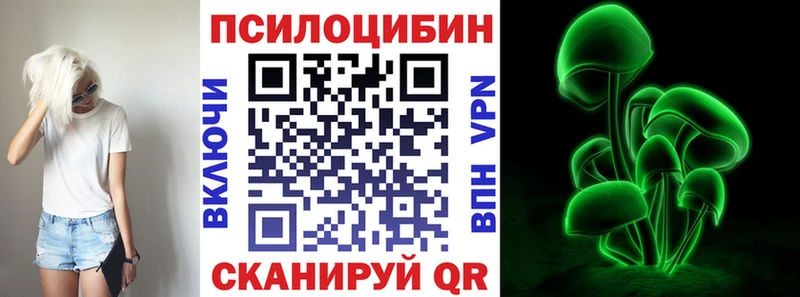 Галлюциногенные грибы Psilocybe  Гвардейск 
